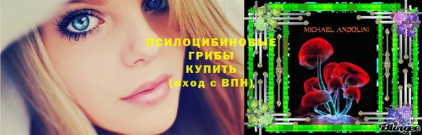 герыч Алзамай