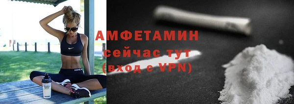 СК Алексин