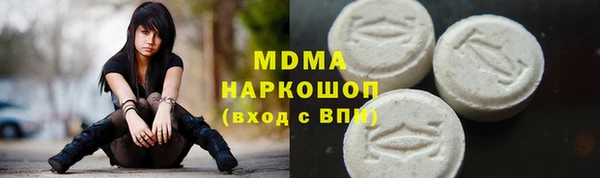 СК Алексин