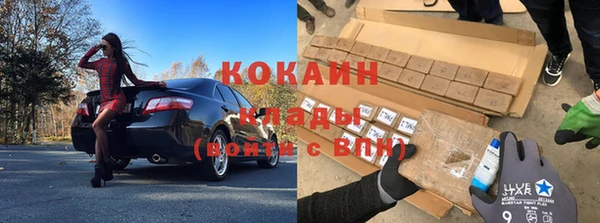 СК Алексин